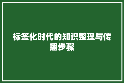 标签化时代的知识整理与传播步骤
