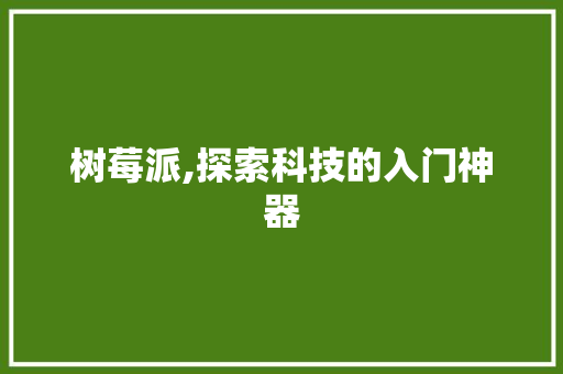 树莓派,探索科技的入门神器