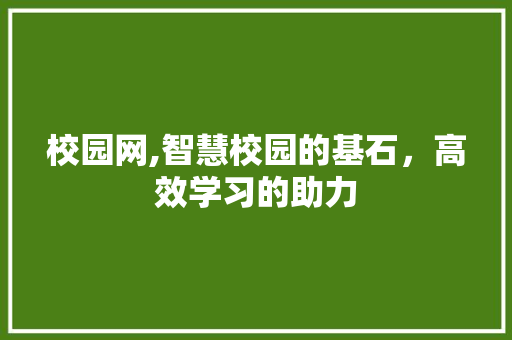校园网,智慧校园的基石，高效学习的助力