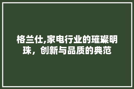 格兰仕,家电行业的璀璨明珠，创新与品质的典范