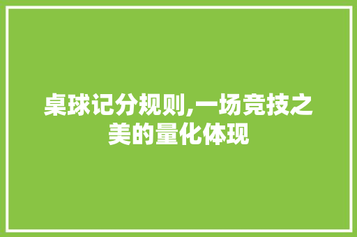 桌球记分规则,一场竞技之美的量化体现 操作系统