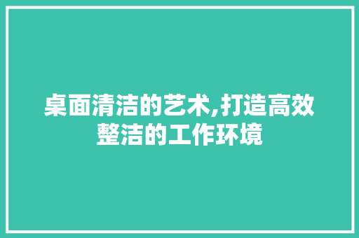 桌面清洁的艺术,打造高效整洁的工作环境 网络技术