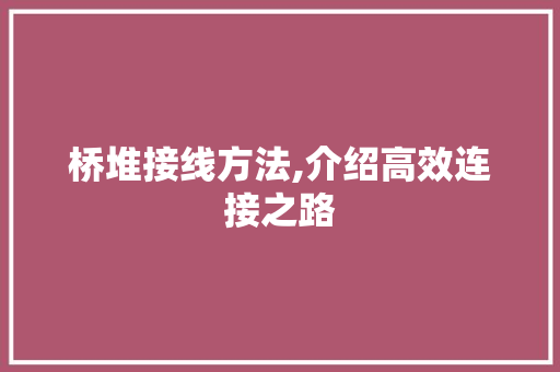 桥堆接线方法,介绍高效连接之路 网络技术 桥堆接线方法,介绍高效连接之路 网络技术