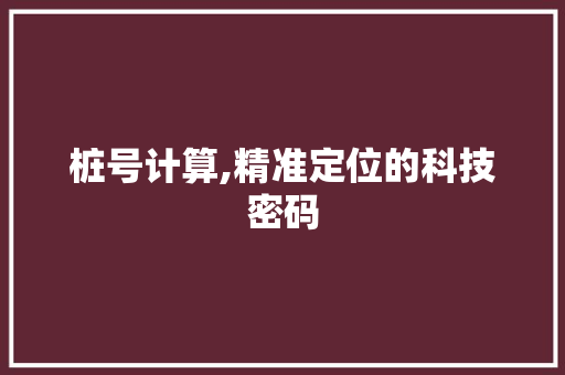 桩号计算,精准定位的科技密码 网络技术