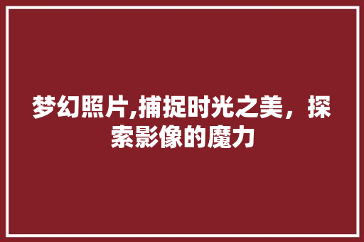 梦幻照片,捕捉时光之美，探索影像的魔力 电脑基础