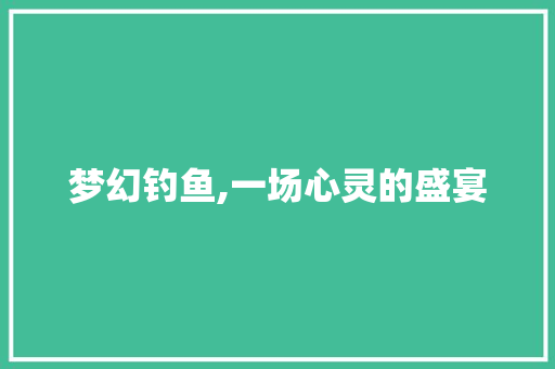 梦幻钓鱼,一场心灵的盛宴 操作系统