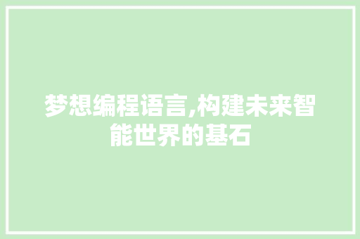 梦想编程语言,构建未来智能世界的基石 网络技术