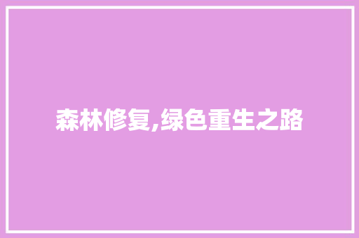 森林修复,绿色重生之路 操作系统