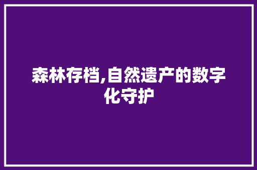 森林存档,自然遗产的数字化守护 电脑基础