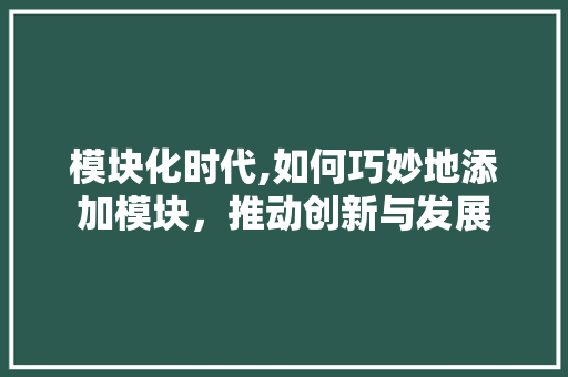 模块化时代,如何巧妙地添加模块，推动创新与发展 电脑配置