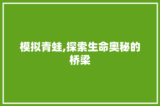 模拟青蛙,探索生命奥秘的桥梁 电脑基础