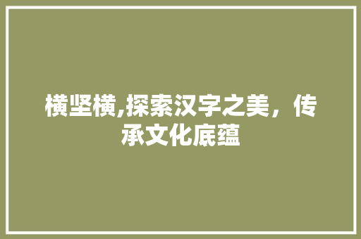 横坚横,探索汉字之美，传承文化底蕴 操作系统