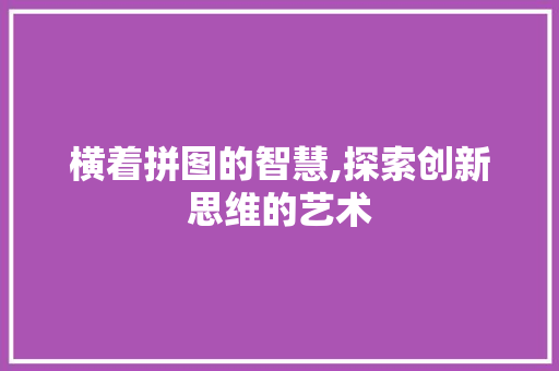 横着拼图的智慧,探索创新思维的艺术 电脑配置