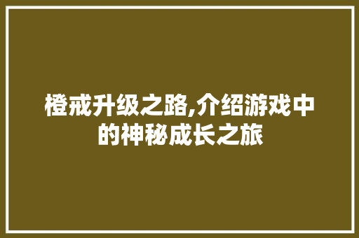 橙戒升级之路,介绍游戏中的神秘成长之旅 操作系统