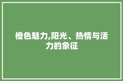橙色魅力,阳光、热情与活力的象征 电脑配置