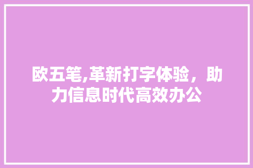 欧五笔,革新打字体验，助力信息时代高效办公 网络技术