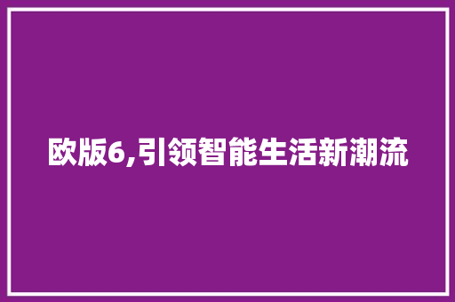 欧版6,引领智能生活新潮流 电脑故障维修 欧版6,引领智能生活新潮流 电脑故障维修