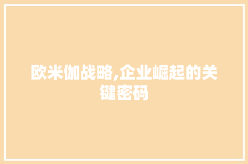 欧米伽战略,企业崛起的关键密码 电脑基础
