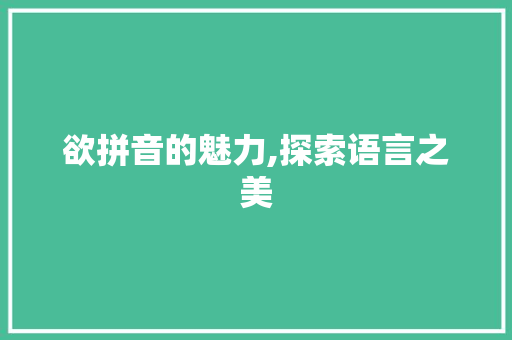 欲拼音的魅力,探索语言之美 电脑配置