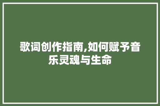 歌词创作指南,如何赋予音乐灵魂与生命