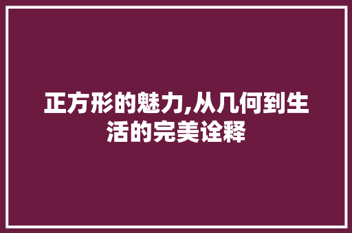 正方形的魅力,从几何到生活的完美诠释