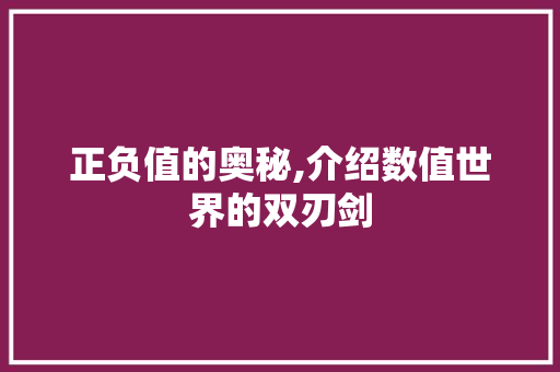 正负值的奥秘,介绍数值世界的双刃剑
