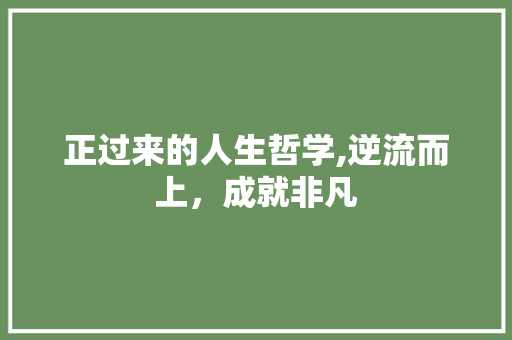 正过来的人生哲学,逆流而上，成就非凡