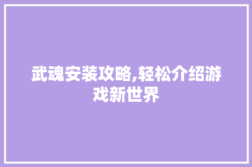 武魂安装攻略,轻松介绍游戏新世界 电脑故障维修