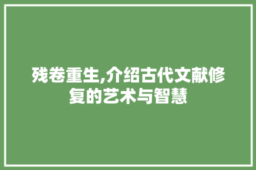 残卷重生,介绍古代文献修复的艺术与智慧 网络技术
