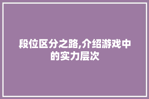 段位区分之路,介绍游戏中的实力层次