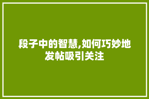 段子中的智慧,如何巧妙地发帖吸引关注