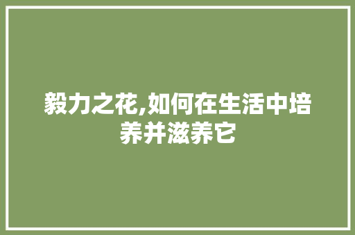 毅力之花,如何在生活中培养并滋养它 网络技术