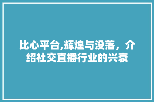 比心平台,辉煌与没落，介绍社交直播行业的兴衰 电脑基础