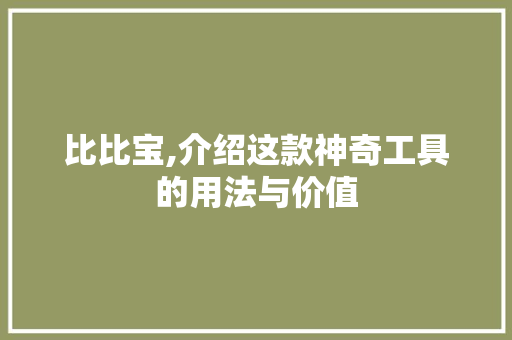 比比宝,介绍这款神奇工具的用法与价值 电脑配置