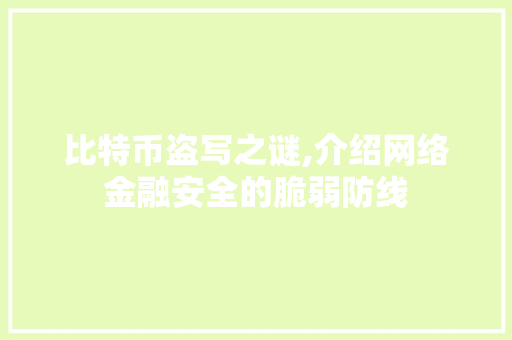 比特币盗写之谜,介绍网络金融安全的脆弱防线 电脑配置