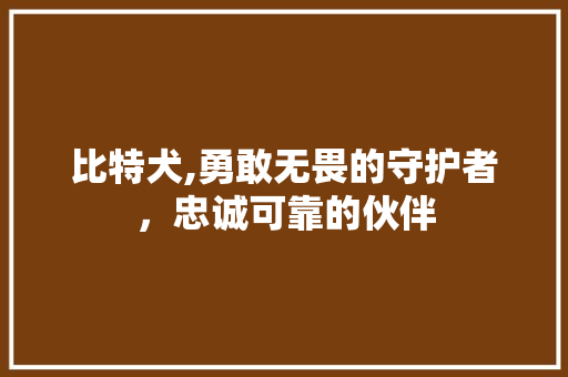 比特犬,勇敢无畏的守护者，忠诚可靠的伙伴 电脑故障维修