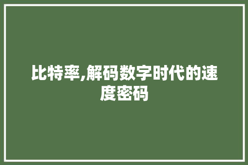 比特率,解码数字时代的速度密码 电脑配置 比特率,解码数字时代的速度密码 电脑配置