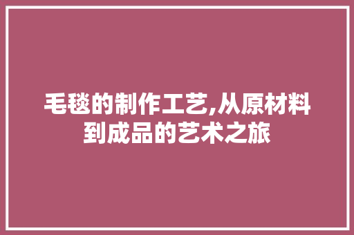 毛毯的制作工艺,从原材料到成品的艺术之旅 电脑故障维修