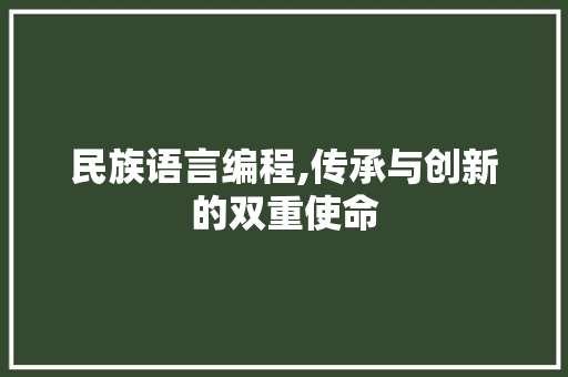 民族语言编程,传承与创新的双重使命 电脑故障维修
