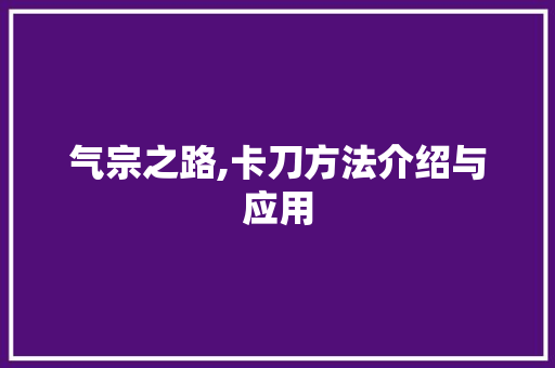 气宗之路,卡刀方法介绍与应用 电脑故障维修 气宗之路,卡刀方法介绍与应用 电脑故障维修