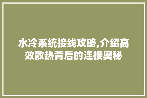 水冷系统接线攻略,介绍高效散热背后的连接奥秘 电脑配置