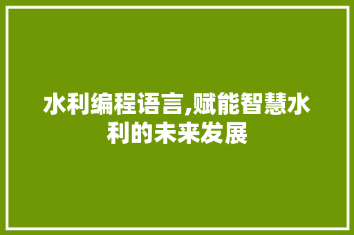 水利编程语言,赋能智慧水利的未来发展