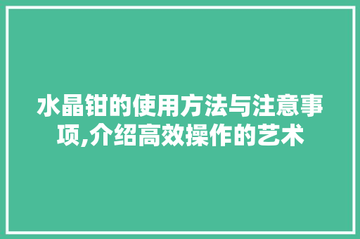 水晶钳的使用方法与注意事项,介绍高效操作的艺术