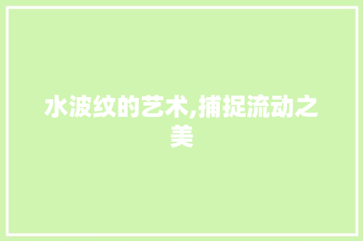 水波纹的艺术,捕捉流动之美