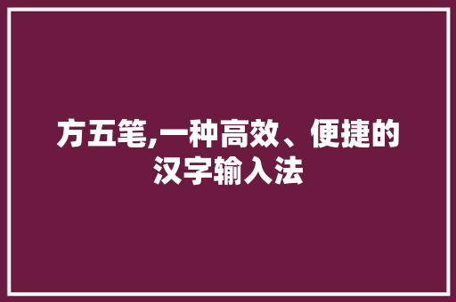 方五笔,一种高效、便捷的汉字输入法