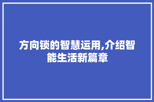 方向锁的智慧运用,介绍智能生活新篇章