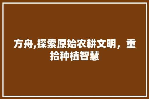 方舟,探索原始农耕文明，重拾种植智慧