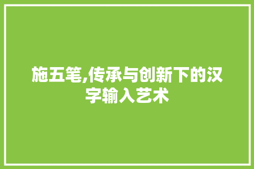 施五笔,传承与创新下的汉字输入艺术