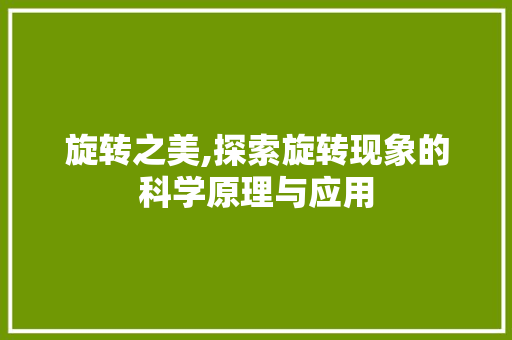 旋转之美,探索旋转现象的科学原理与应用
