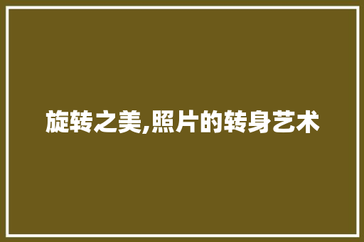 旋转之美,照片的转身艺术